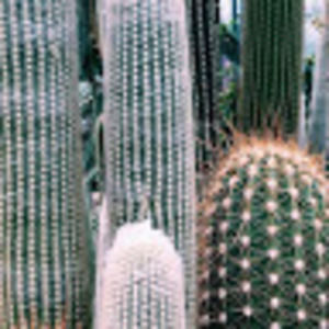 Meet your Posher, Eva